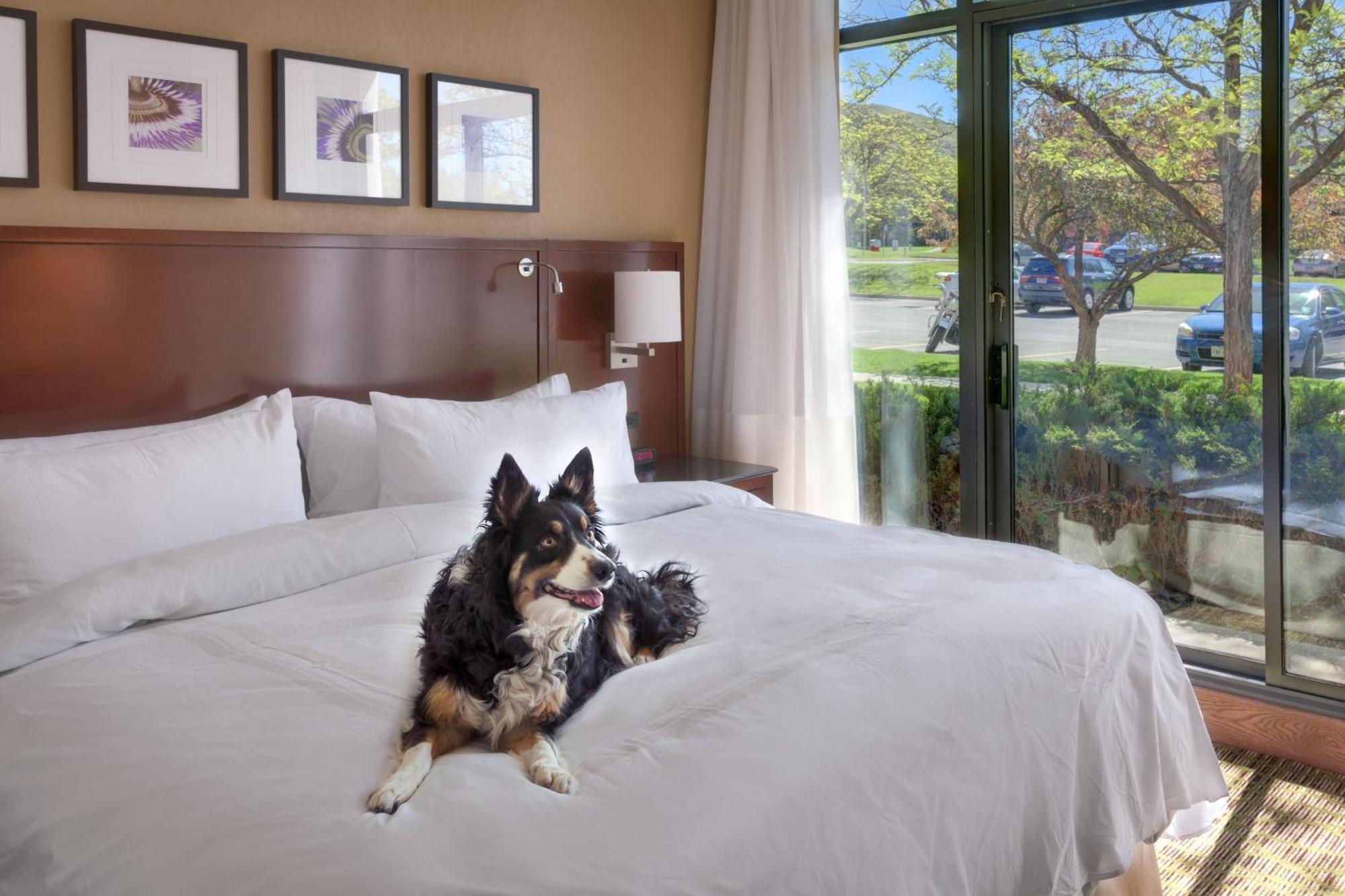 Salt Lake City Marriott University Park Экстерьер фото